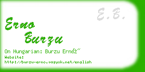 erno burzu business card